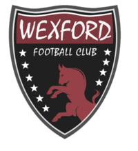 Wexford Youths